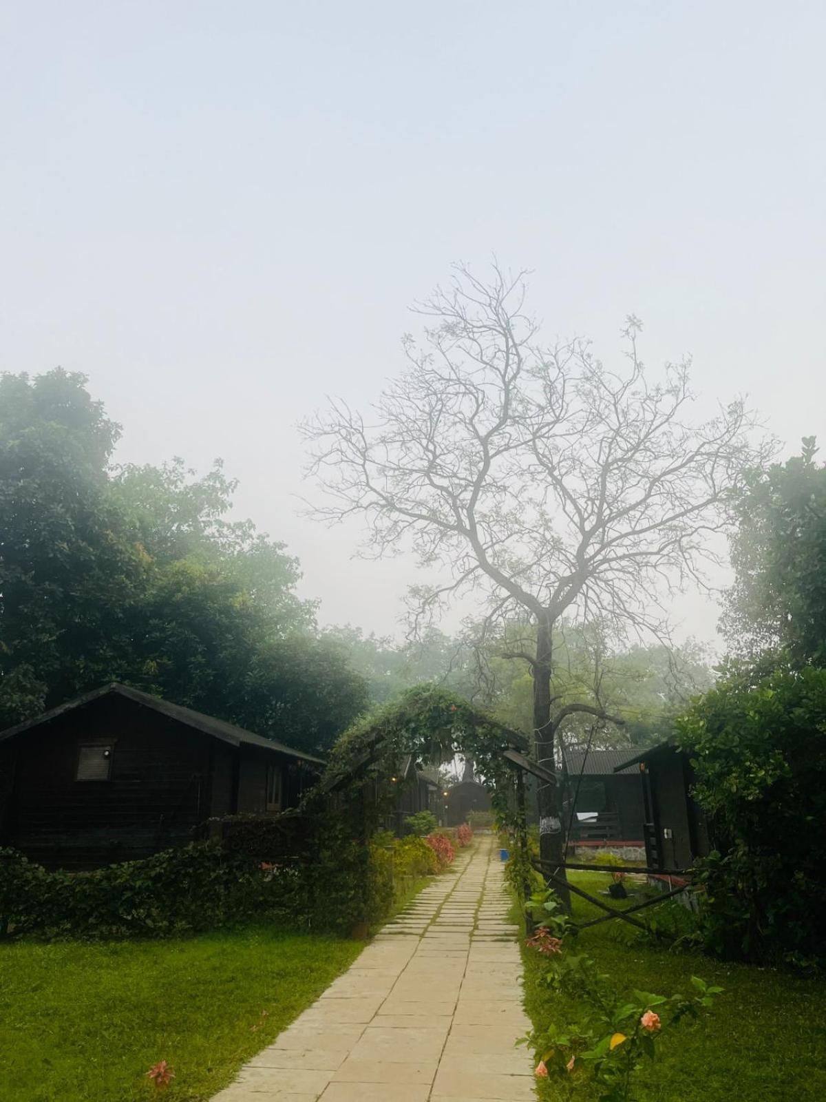 Cocorico Stay Ya! Cottages Alībāg Zewnętrze zdjęcie
